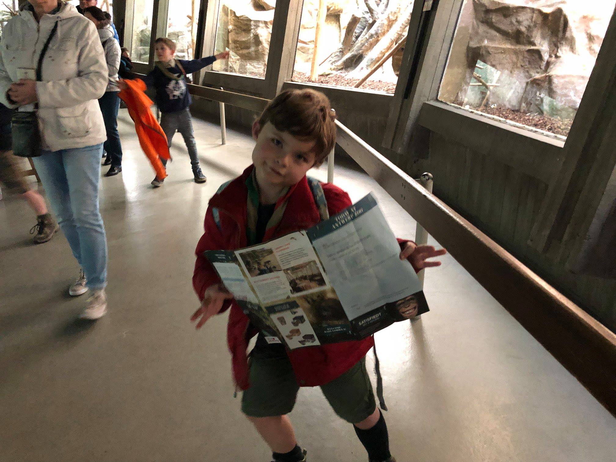 Sint-Martinus den XIIde - Zoo Antwerpen Kapoenen